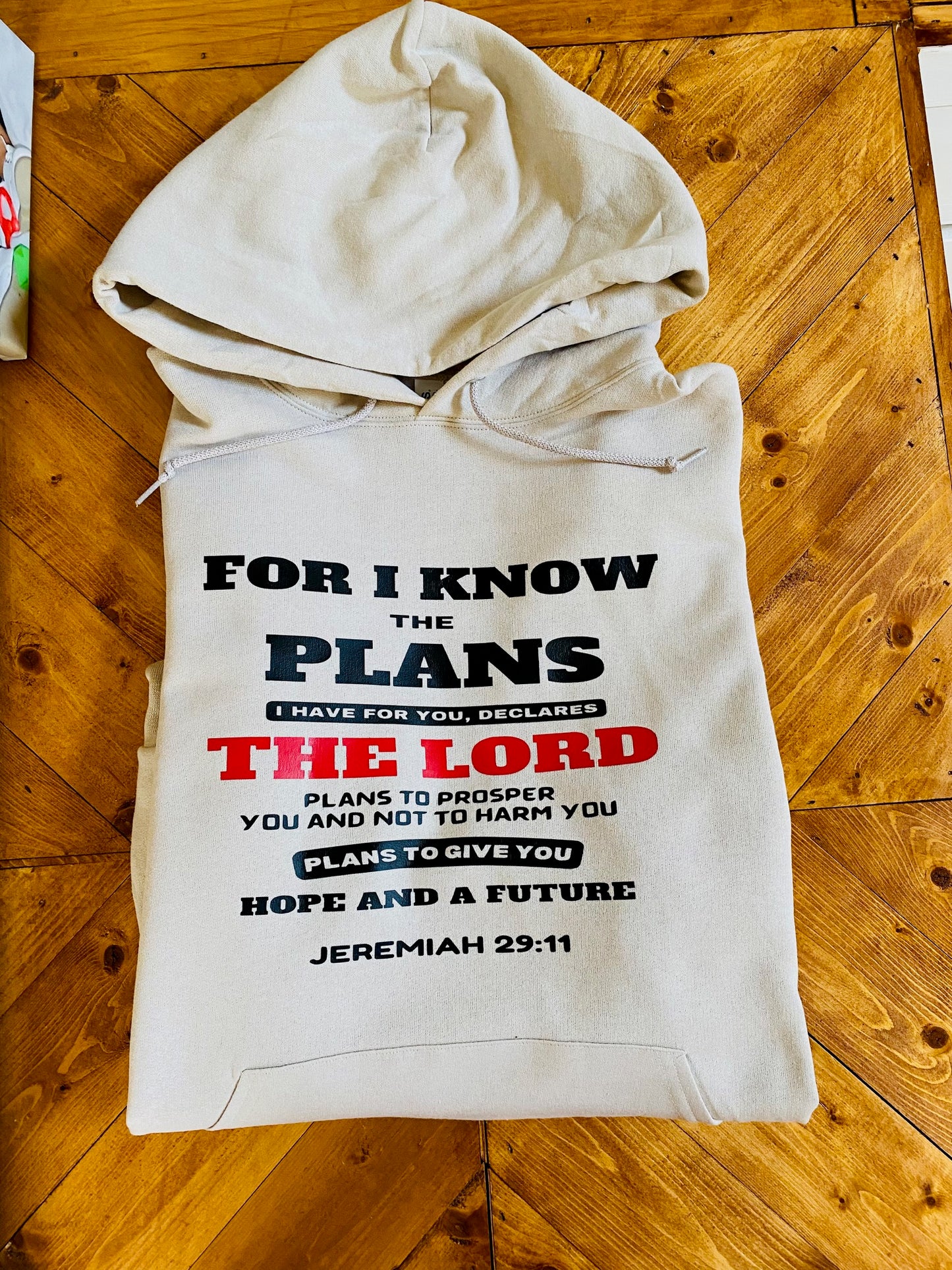 For I know the plans I have for you, declares the Lord plans to prosper you and not to harm you plans to give you Hope and a futureJeremiah 29:11 hoodie