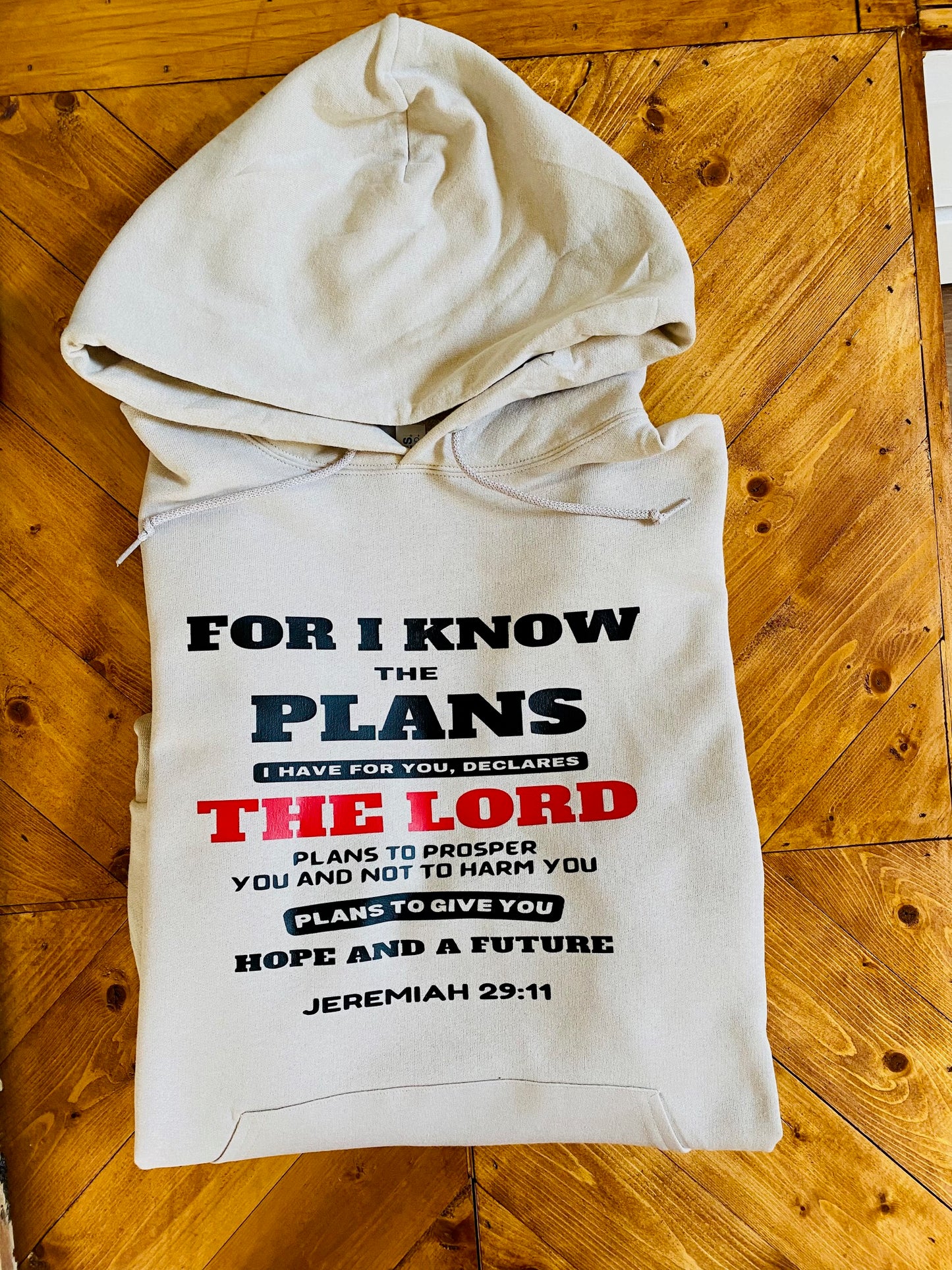 For I know the plans I have for you, declares the Lord plans to prosper you and not to harm you plans to give you Hope and a futureJeremiah 29:11 hoodie