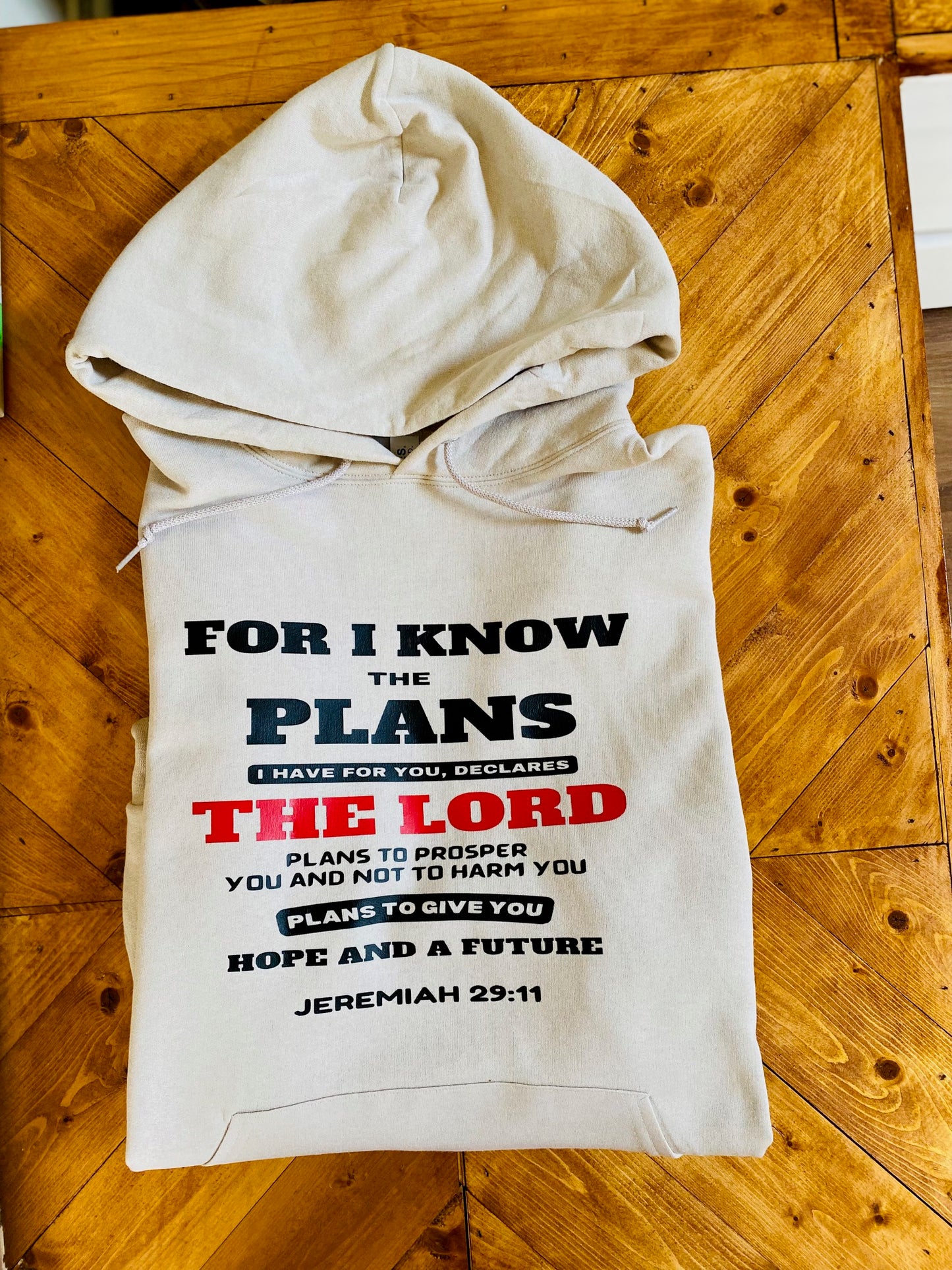 For I know the plans I have for you, declares the Lord plans to prosper you and not to harm you plans to give you Hope and a futureJeremiah 29:11 hoodie