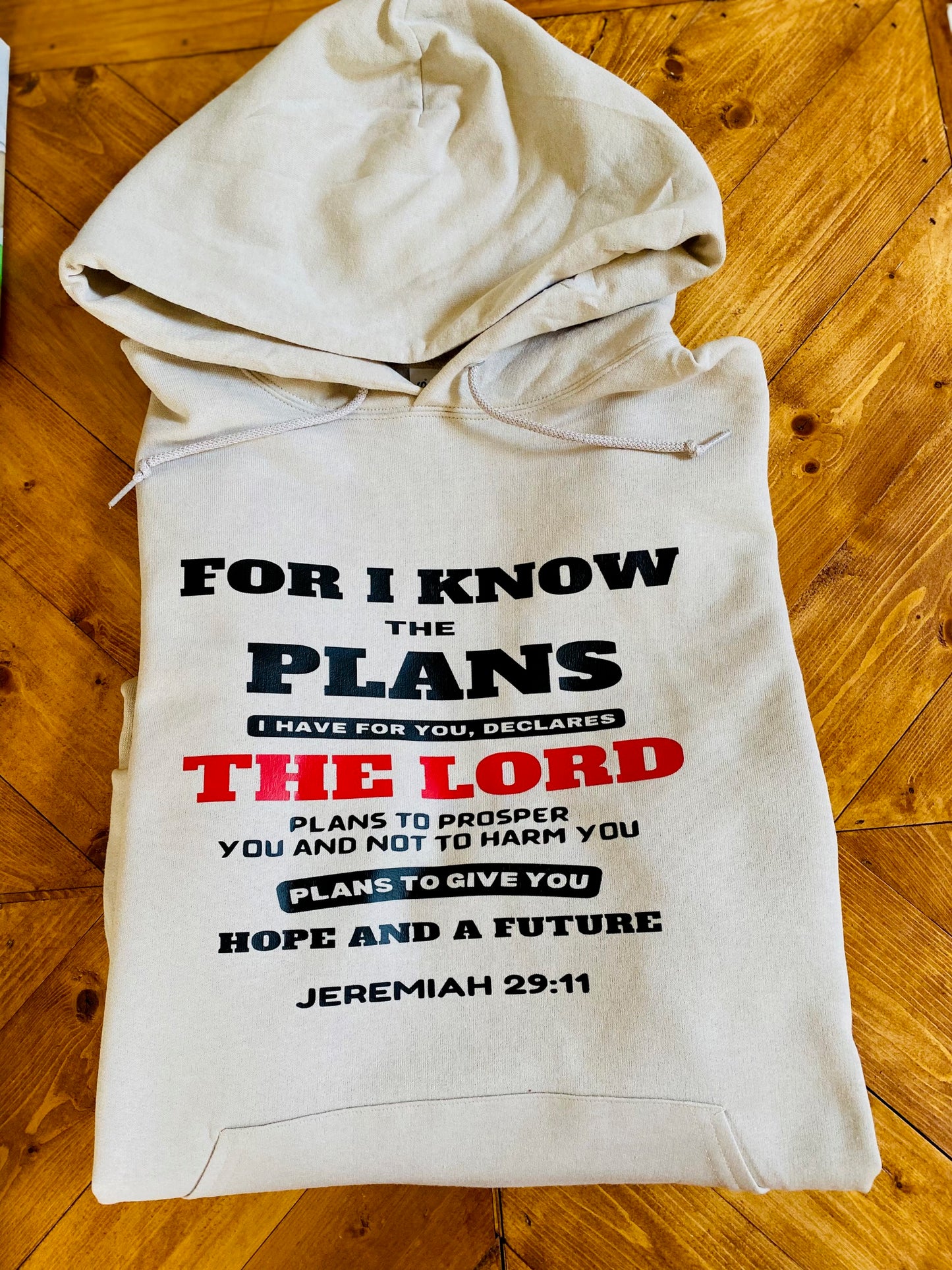 For I know the plans I have for you, declares the Lord plans to prosper you and not to harm you plans to give you Hope and a futureJeremiah 29:11 hoodie