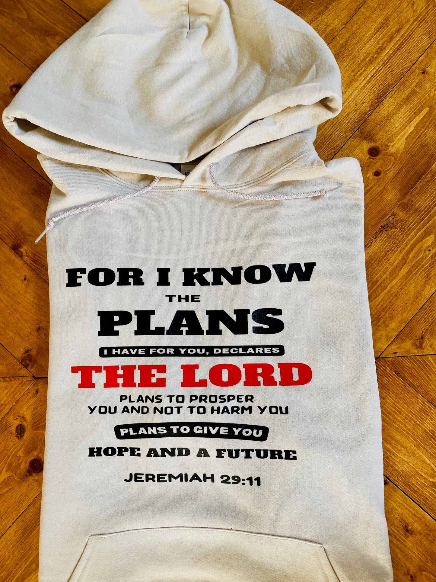 For I know the plans I have for you, declares the Lord plans to prosper you and not to harm you plans to give you Hope and a futureJeremiah 29:11 hoodie